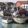 Asse 1 - Adeguamento della flotta da pesca comunitaria